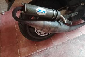 marmitta Leo vince serpentina 