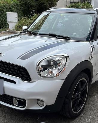 Mini countryman