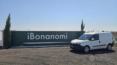 Fiat Doblò 1.6 Multijet 3 posti