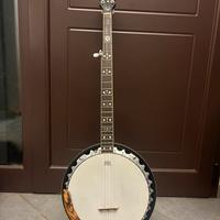 Banjo bluegrass 5 corde Epiphone MB-200