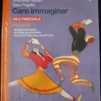caro immaginar 