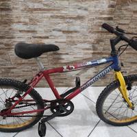 mountain bike misura 20