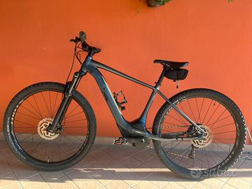 Specialized