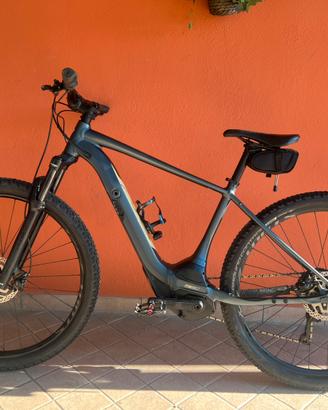Specialized