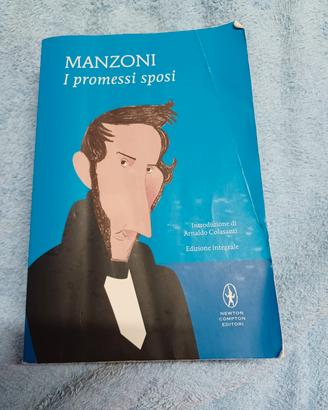 I Promessi sposi 