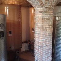 Azienda vitivinicola in Monferrato