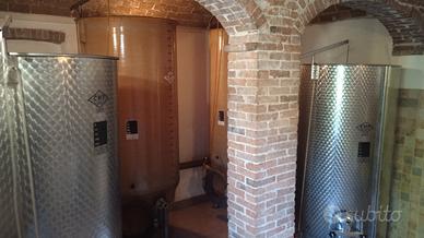 Azienda vitivinicola in Monferrato