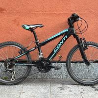 Conti Skate Mountainbike bambini 20 pollici