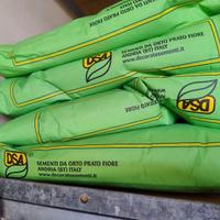 semi cime di rapa varietà sessantina cima grande