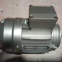 Motore elettrico trifase Gmotor MS56 -4