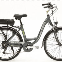 Bici elettrica