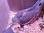 Immagine 5