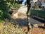 Immagine 22