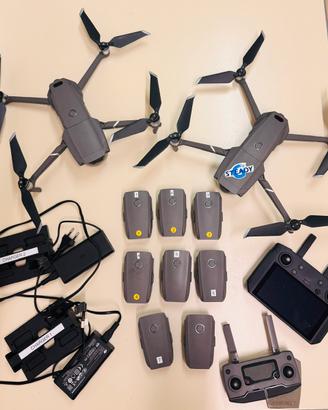 Droni Mavic 2 pro e Mavic zoom