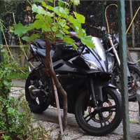 Yzf R125 yamaha