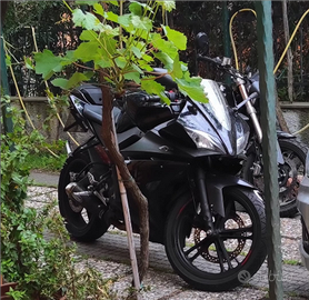 Yzf R125 yamaha