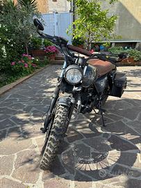 Mutt Hilts 250 gloss grey (2019)