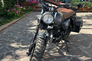 Mutt Hilts 250 gloss grey (2019)