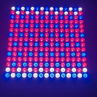 lampada led per coltivazione 