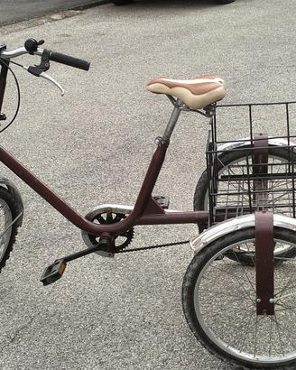 Bicicletta a tre ruote