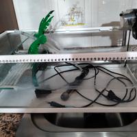 acquario per tartarughe 