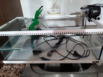 acquario per tartarughe 