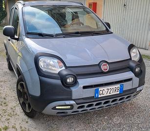 Panda Citicross Hybrid