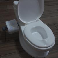 vasino educativo potty