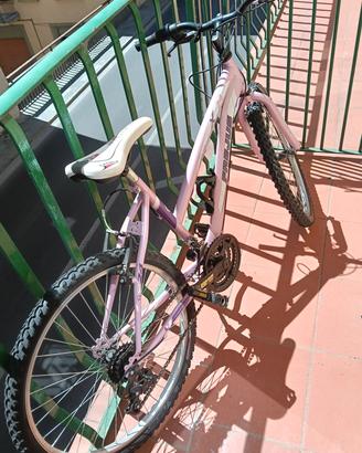 bicicletta risa