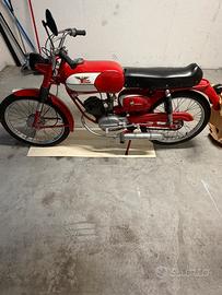 Corsarino 48cc zt