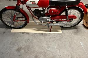 Corsarino 48cc zt