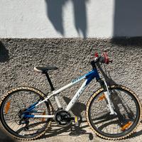 Mountain Bike Carver Junior