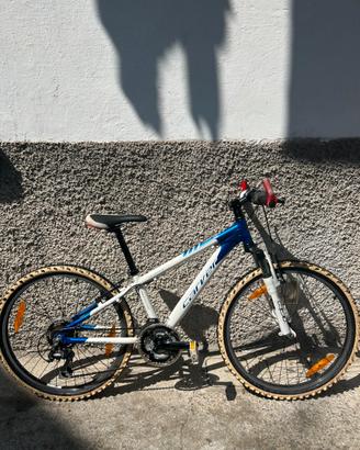 Mountain Bike Carver Junior