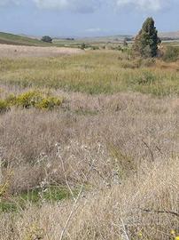 RGE 67/2025 Trib Marsala - LOTTO 1