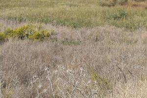 RGE 67/2025 Trib Marsala - LOTTO 1