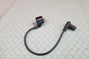 BOBINA PIPPETTA POLARIS TRAIL BLAZER 250 2003 2004