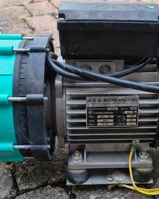 Motore elettrico 230 volt 50 hz