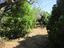Immagine 12