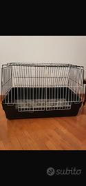Kennel