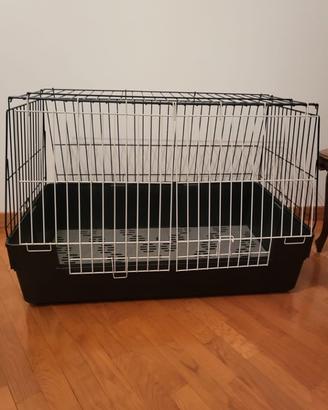Kennel