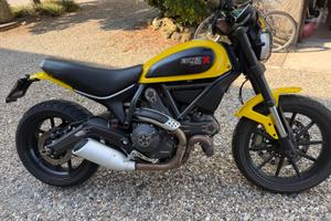 Ducati Srcambler 800