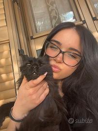 Lavoro come commessa o luoghi di cura per animali