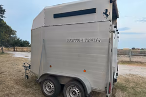 Van trasporto cavalli