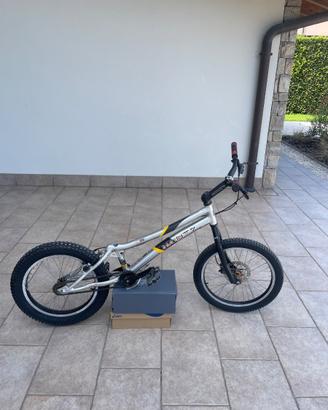 monty 219