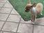 Immagine 5