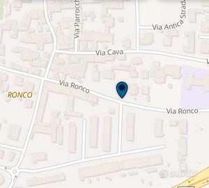 Franciacorta.Vigneto a Ronco di Gussago