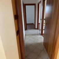 Porte, finestre e porte finestre