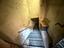 Immagine 26