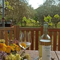 Casetta con giardino