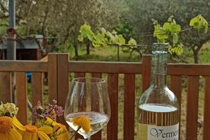 Casetta con giardino